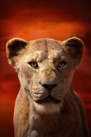 The Lion King's poster