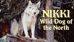 Nikki, Wild Dog of the North's poster