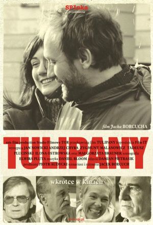 Tulips's poster