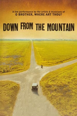 Down from the Mountain's poster