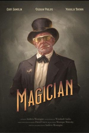 Magician's poster image