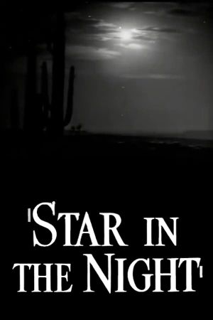 Star in the Night's poster