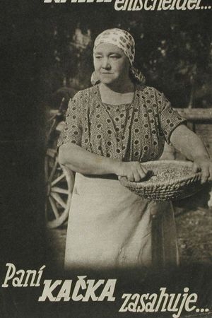 Paní Kacka zasahuje's poster