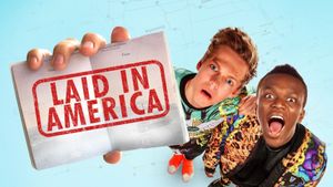 Laid in America's poster
