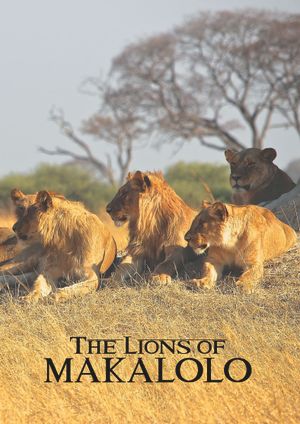 The Lions of Makalolo's poster image