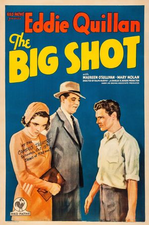 The Big Shot's poster