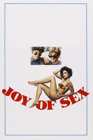 Joy of Sex's poster