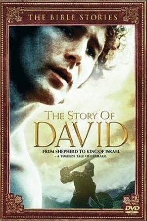 The Story of David's poster