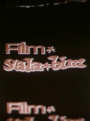 Film-Salabim's poster