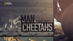 Man Among Cheetahs's poster