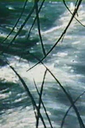 The Time Slit's poster image