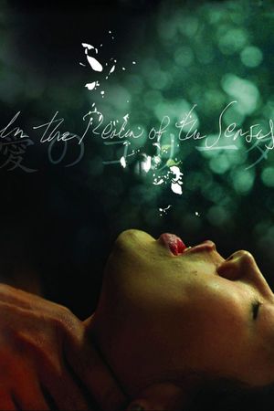 In the Realm of the Senses's poster
