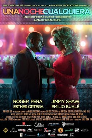 Any Given Night's poster image