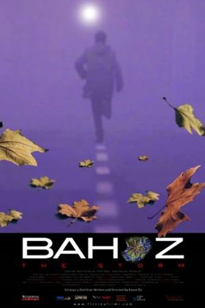 The Storm's poster