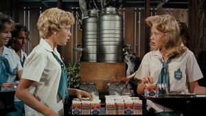 The Parent Trap's poster