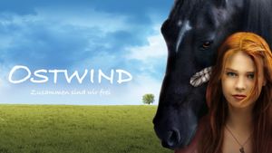 Windstorm's poster