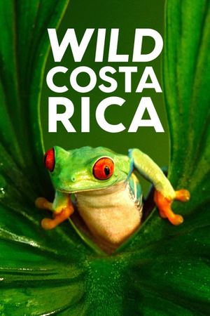 Wild Costa Rica's poster image