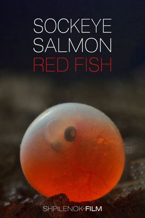 Sockeye Salmon, Red Fish's poster