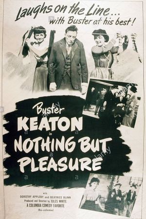 Nothing But Pleasure's poster