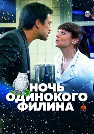 Noch odinokogo filina's poster