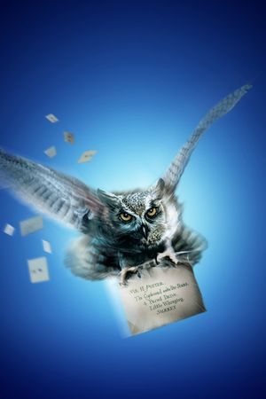 Harry Potter and the Sorcerer's Stone's poster