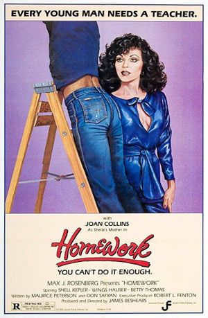 Homework's poster
