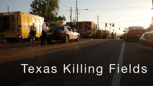 Texas Killing Fields's poster