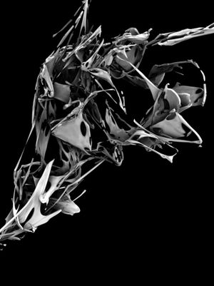 _grau's poster
