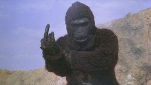 Ape's poster