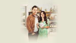 A Priceless Love's poster
