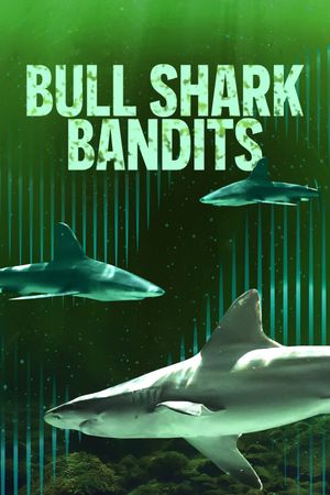 Bull Shark Bandits's poster