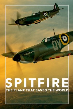 Spitfire's poster