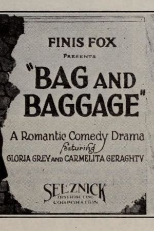 Bag and Baggage's poster