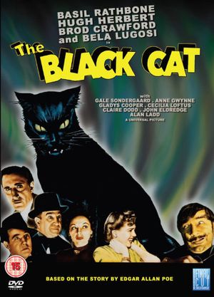 The Black Cat's poster