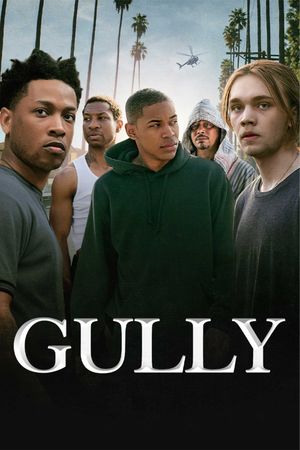 Gully's poster