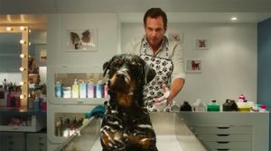 Show Dogs's poster