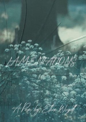 Lamentations's poster