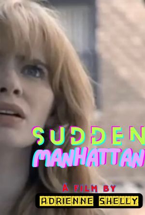Sudden Manhattan's poster