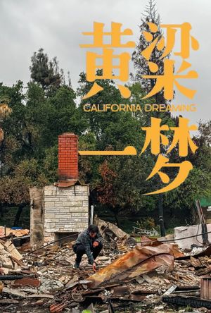 美洲大宝荐：黄粱一梦's poster
