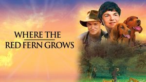 Where the Red Fern Grows's poster