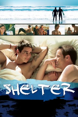 Shelter's poster