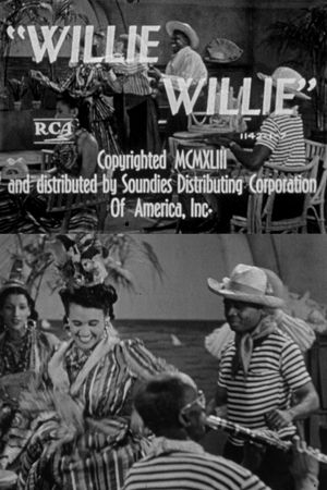 Willie Willie's poster