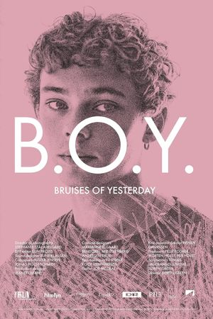 B.O.Y.: Bruises of Yesterday's poster