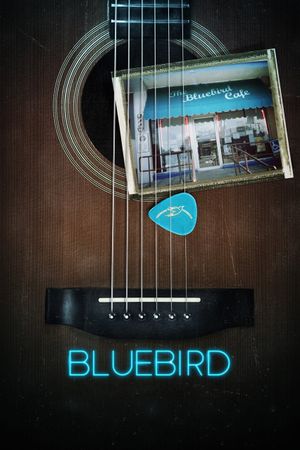 Bluebird's poster