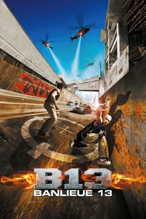 District B13's poster