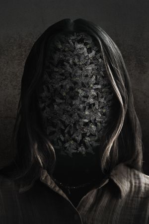 Wake's poster