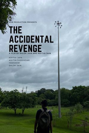 The Accidental Revenge's poster