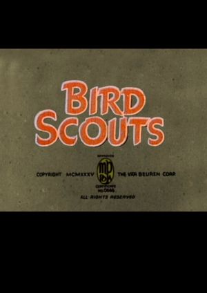 Bird Scouts's poster