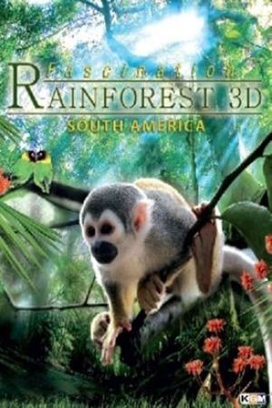 Fascination Rainforest 3D's poster