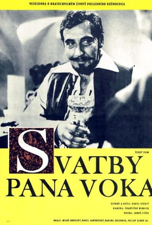 Svatby pana Voka's poster